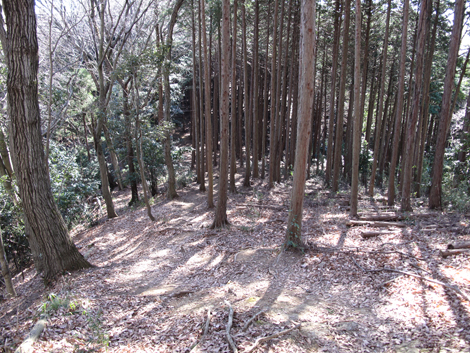 20170126hike (142)